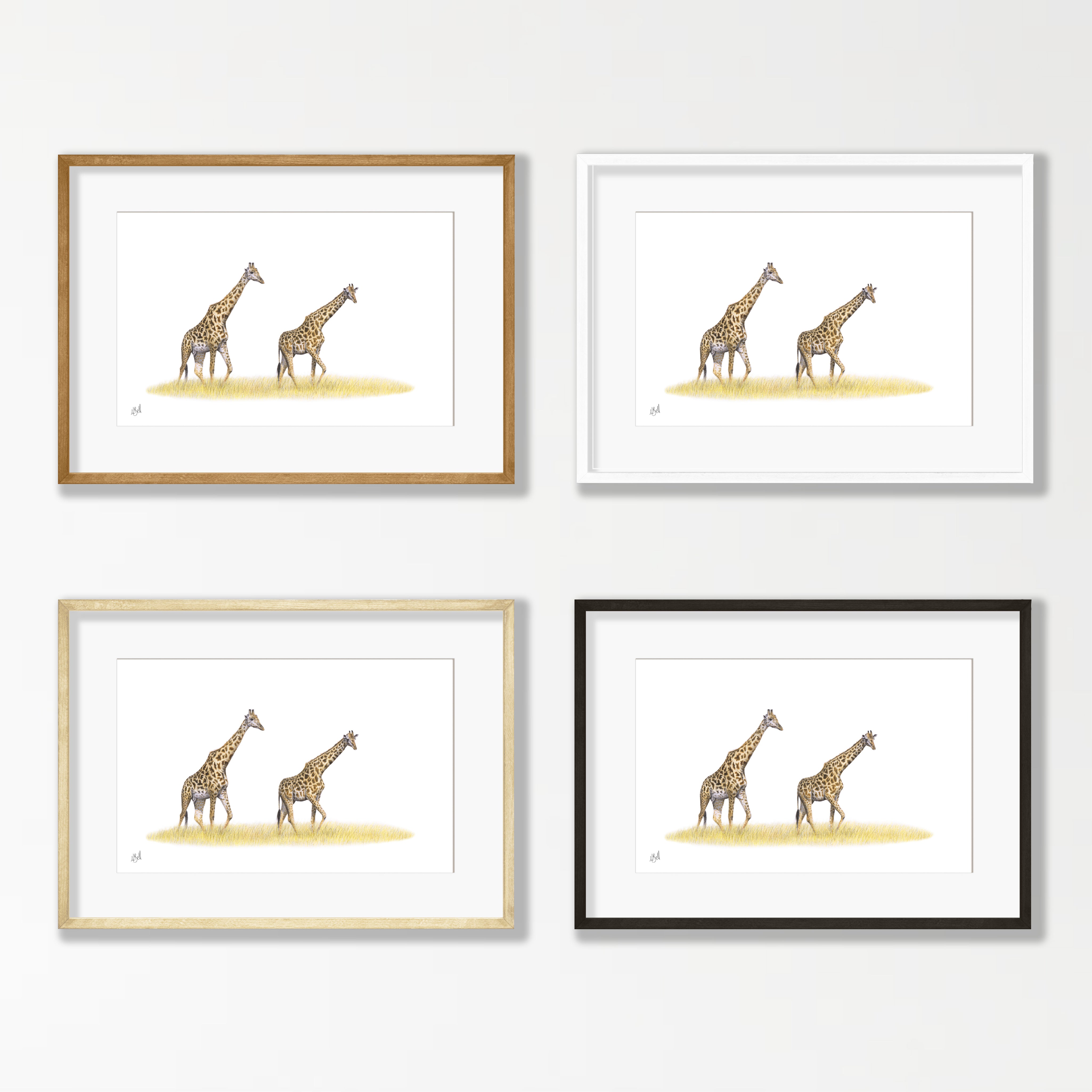 Giraffes - GRF3