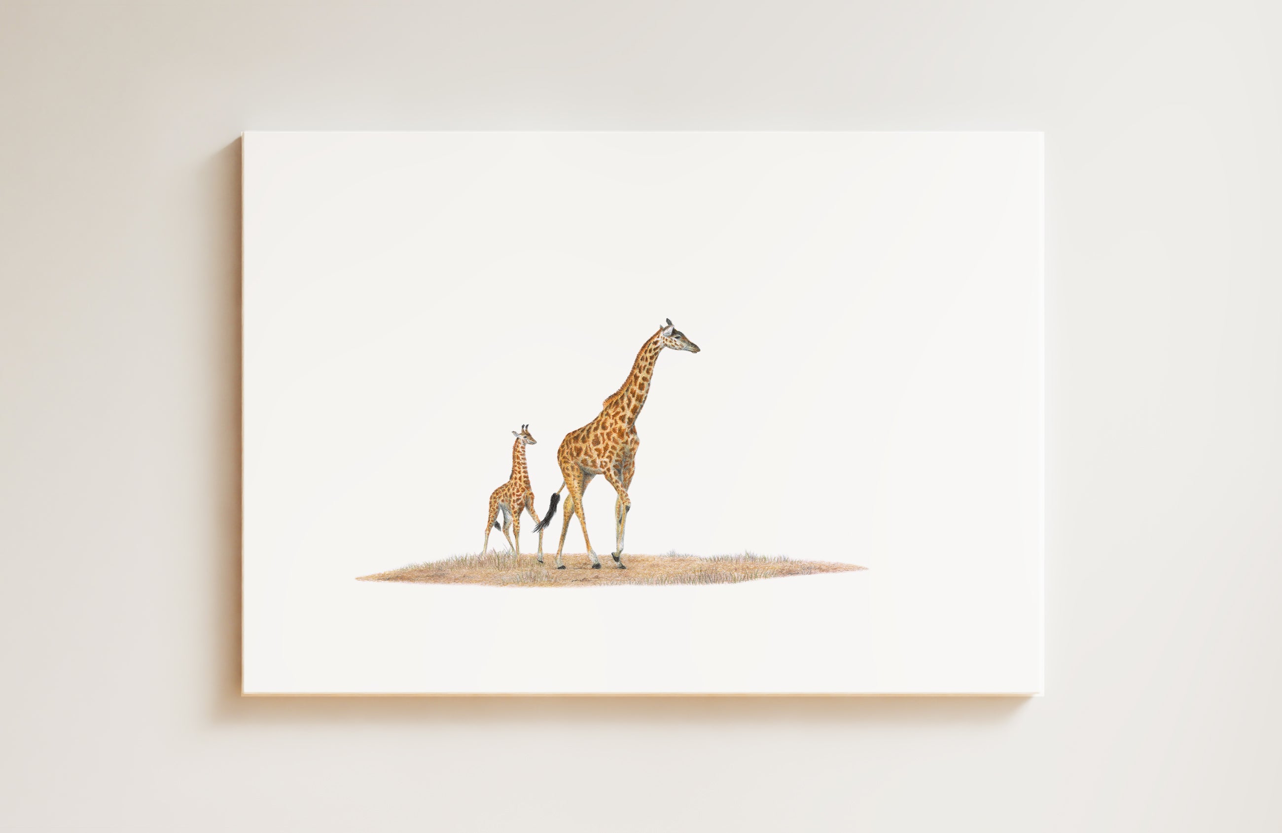 Giraffe Mother and Baby (GRF4) on Canvas