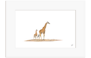 Giraffe Mother and Baby - GRF4