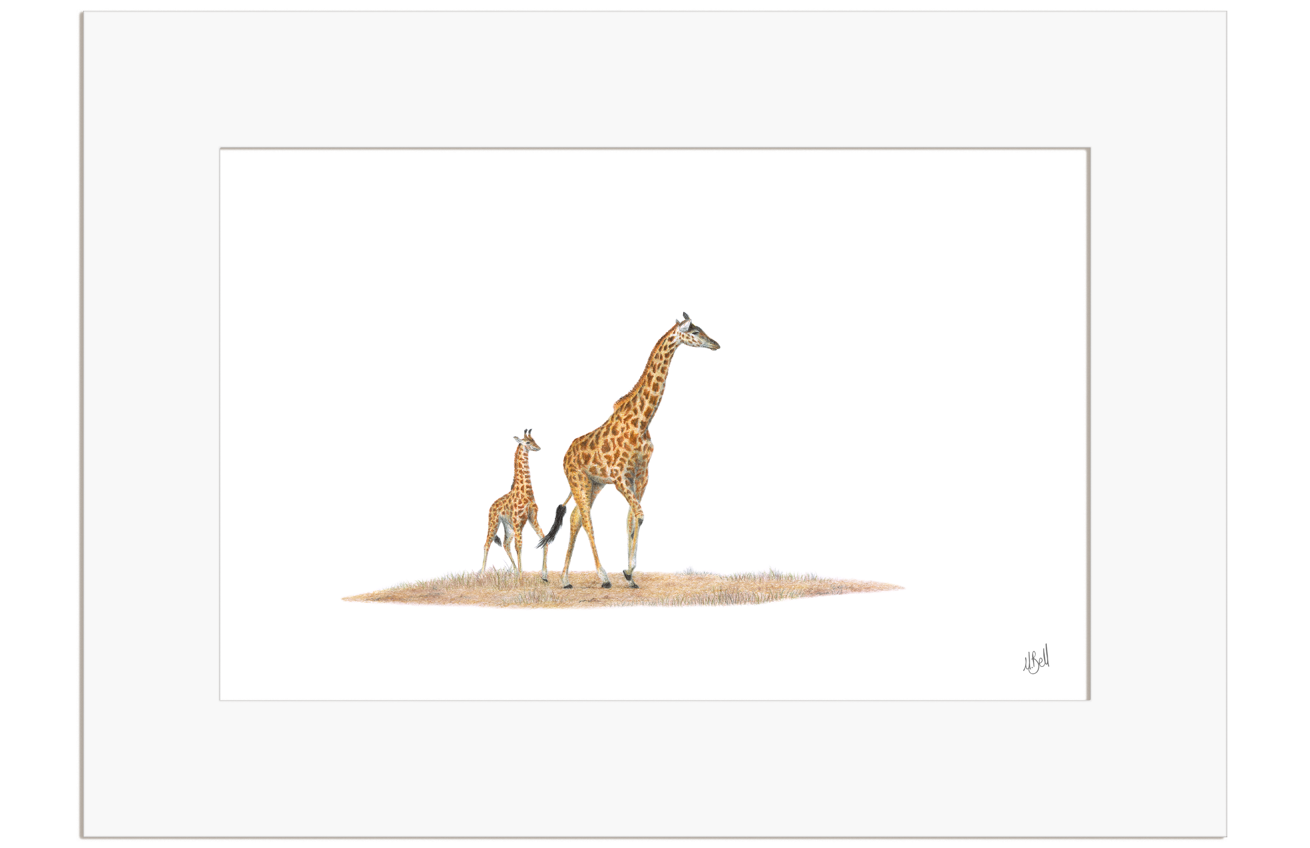 Giraffe Mother and Baby - GRF4