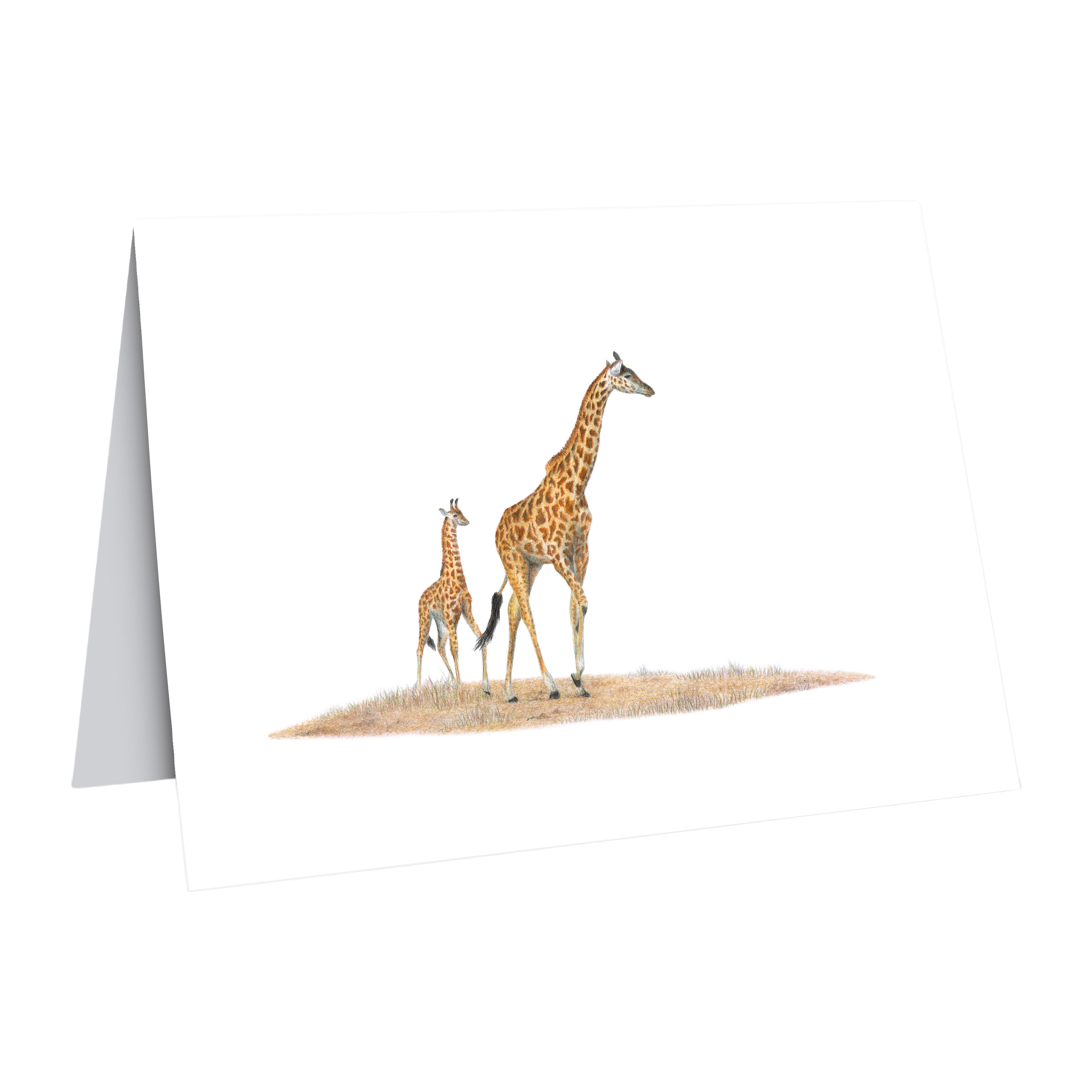 Giraffe Greeting Card - GRF4