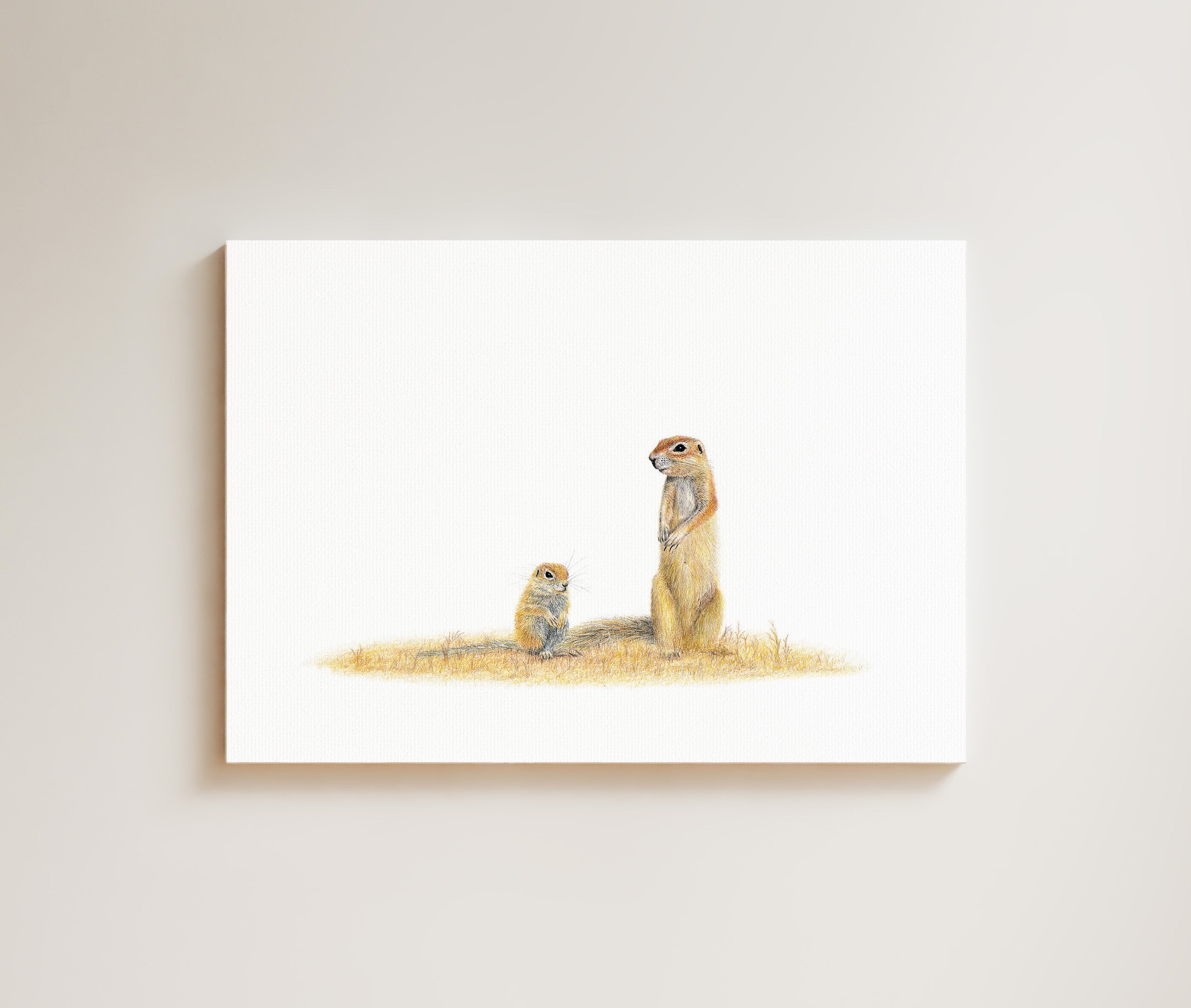 Ground Squirrels drawing on canvas by South African wildlife artist Matthew Bell