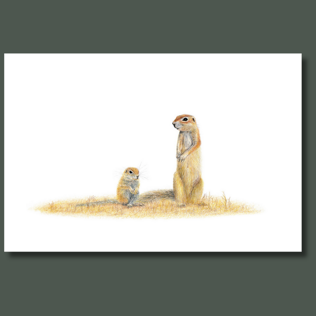 Kalahari Ground Squirrels South African wildlife art on canvas