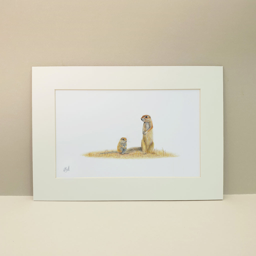 Ground Squirrels in the Kgalagadi desert print by artist Matthew Bell