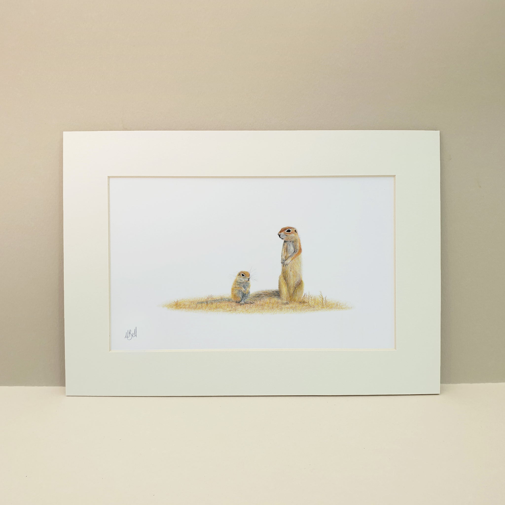 Ground Squirrels in the Kgalagadi desert print by artist Matthew Bell