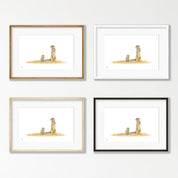 Ground Squirrels - GSQ