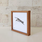 Kiaat wood framed miniature artwork of a Great Shearwater, part of wildlife artist Matthew Bell's birds of South Africa gallery