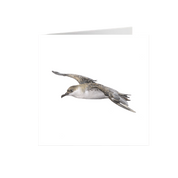 Great Shearwater Greeting Card - GSW