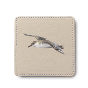 Great Shearwater Bird leather coaster by South African wildlife artist Matthew Bell