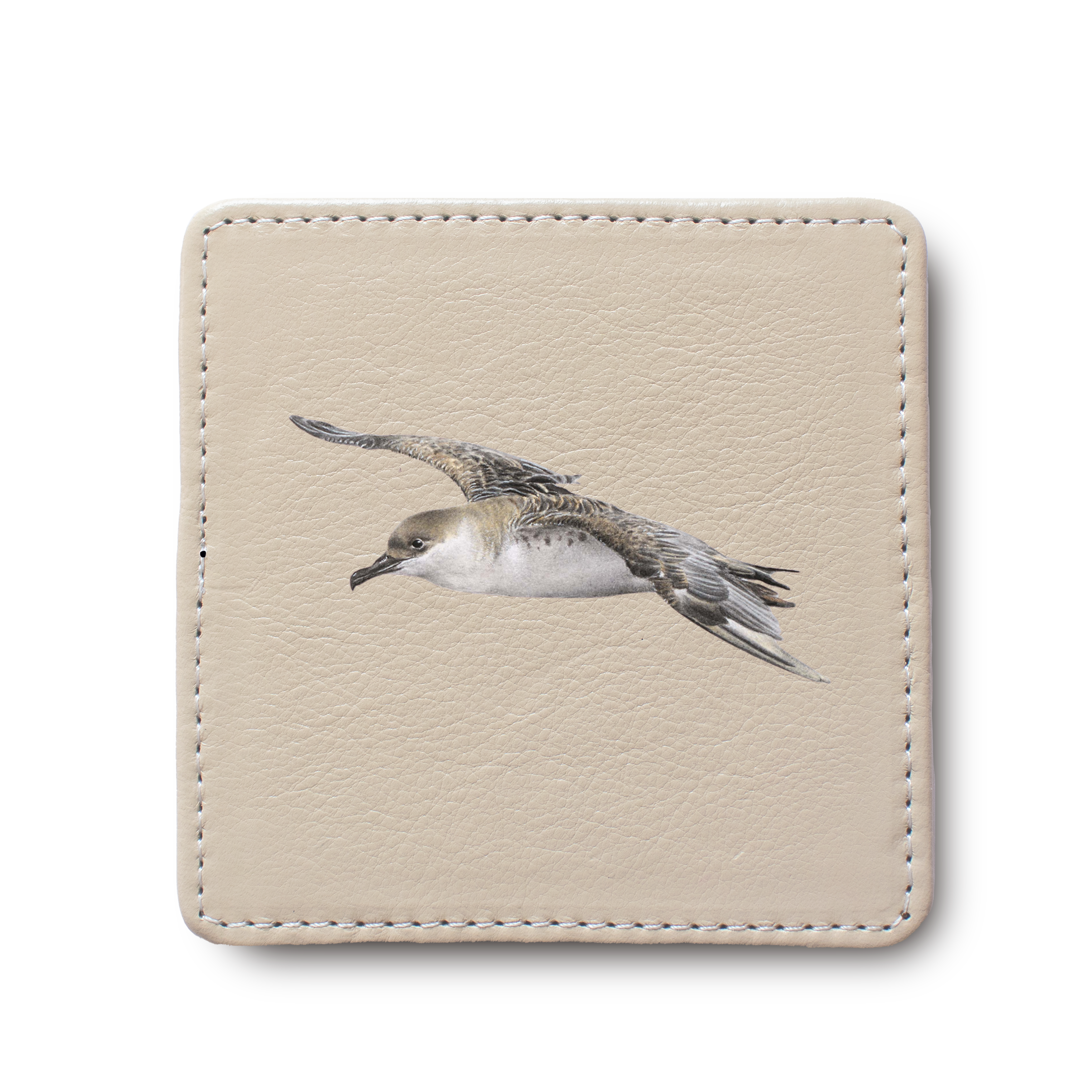 Great Shearwater Bird leather coaster by South African wildlife artist Matthew Bell
