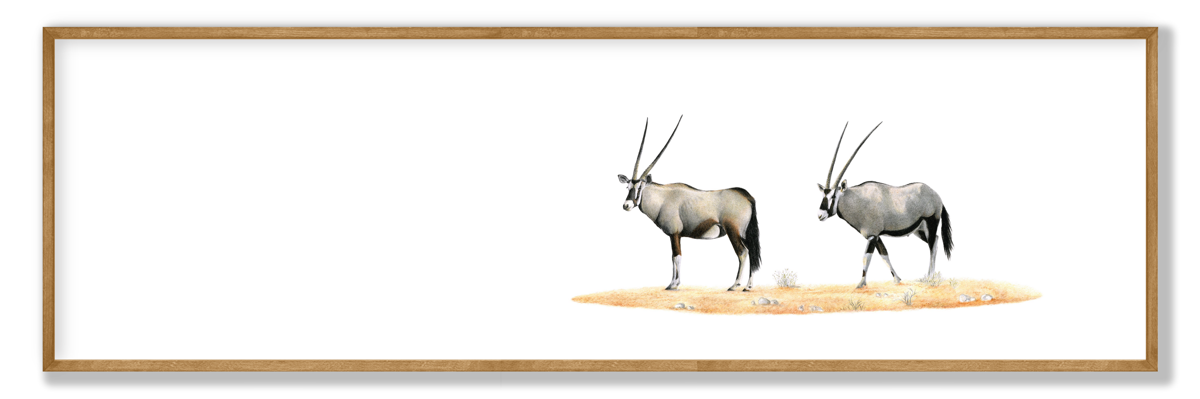 Framed gemsbok panorama print showcasing the distinctive antelope in a detailed African wildlife drawing.