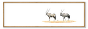 Framed gemsbok panorama print showcasing the distinctive antelope in a detailed African wildlife drawing.