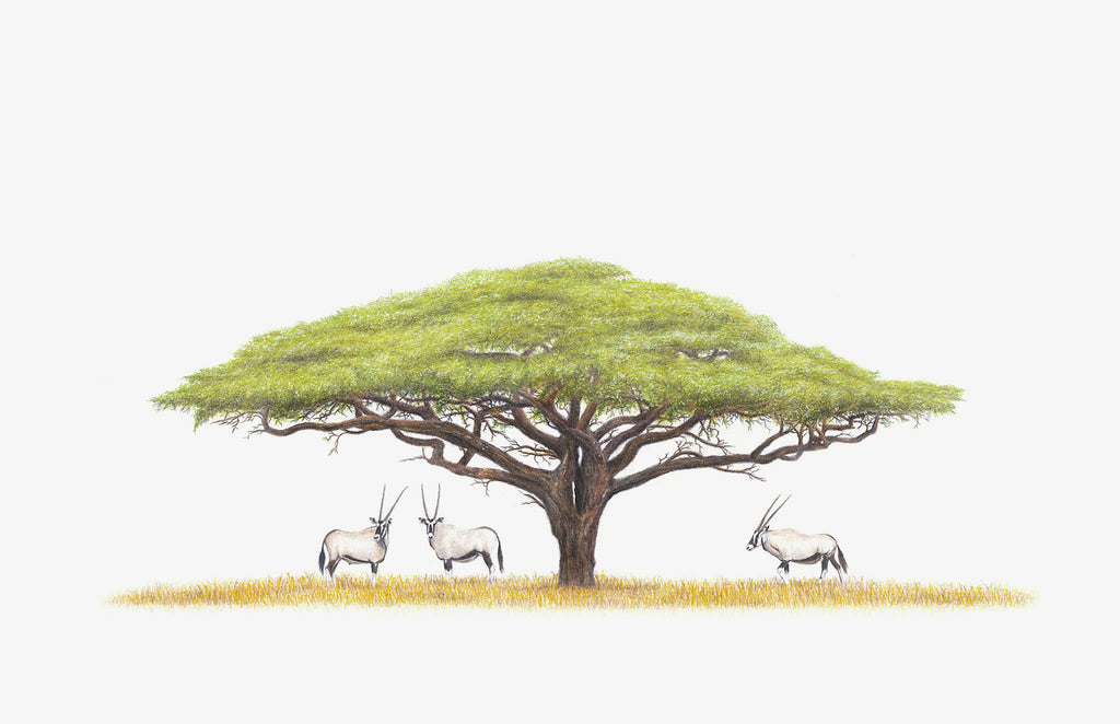 Gemsbok and acacia tree artwork on canvas