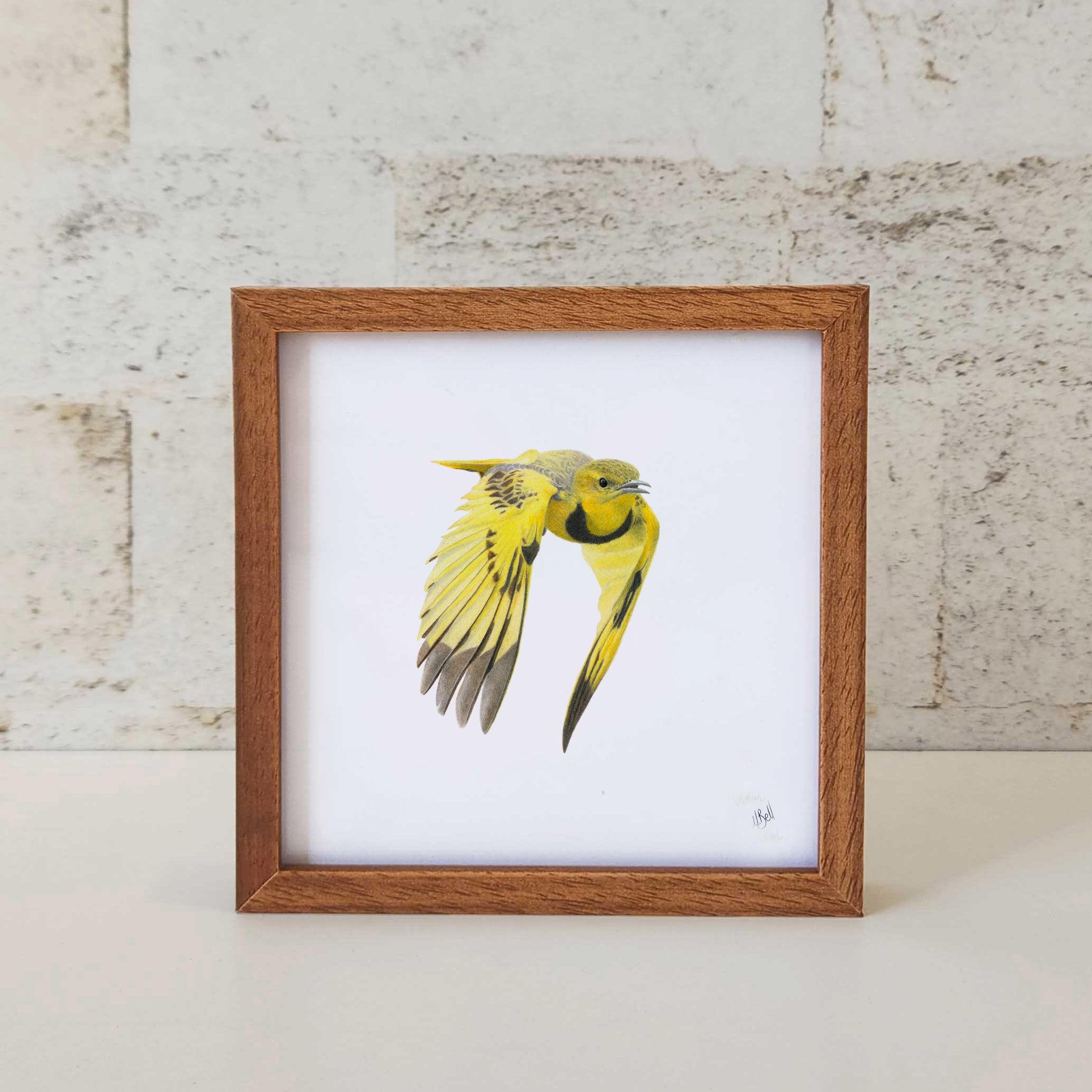 Golden Pipit kiaat framed artwork