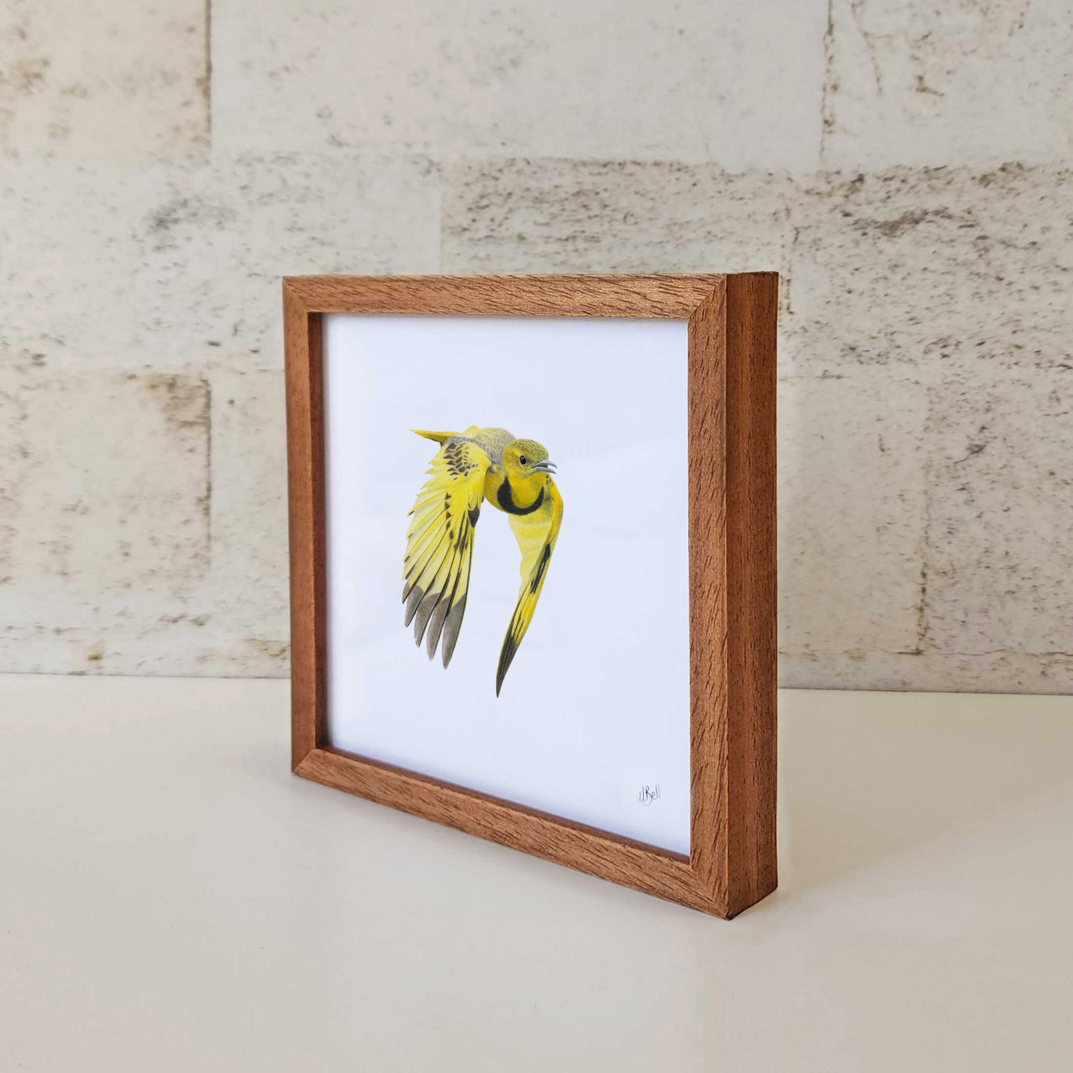 Golden Pipit kiaat framed artwork