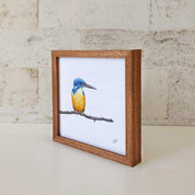 Kiaat wood framed miniature artwork of a Half Collared Kingfisher, part of wildlife artist Matthew Bell's birds of South Africa gallery