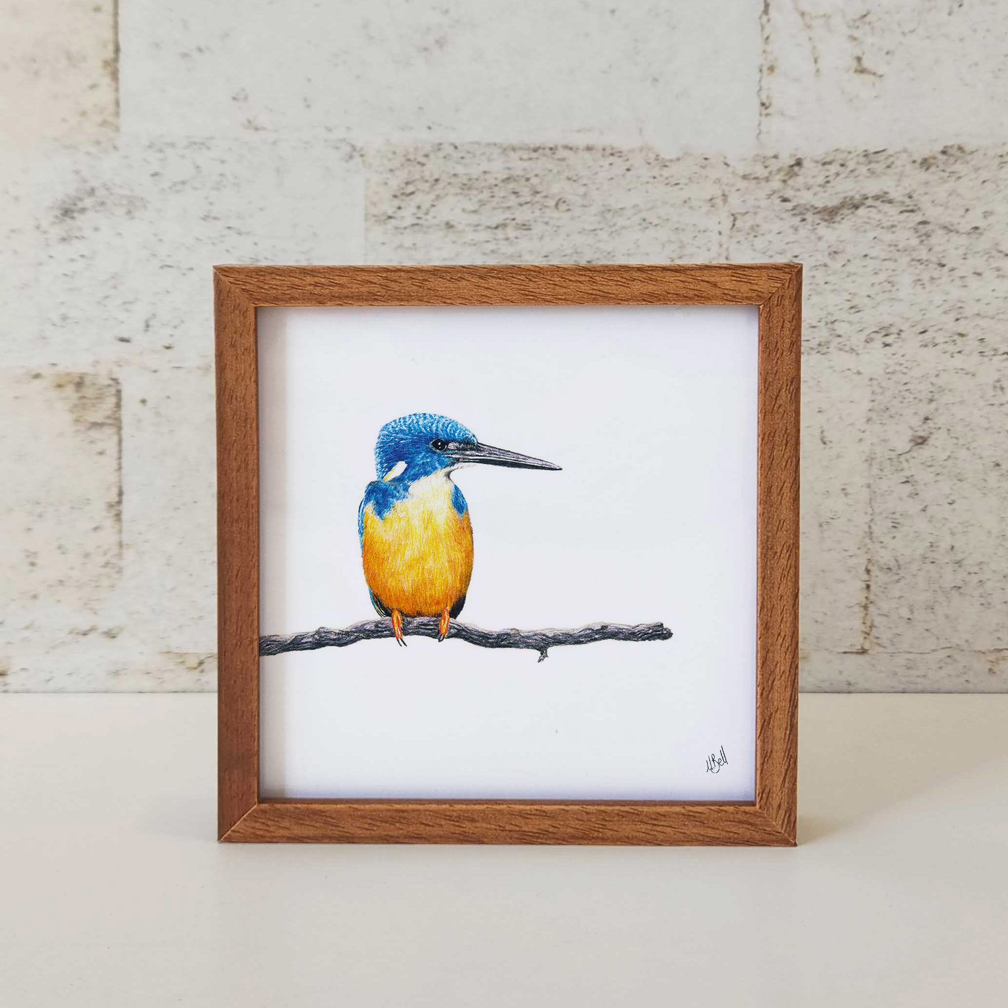 Kiaat wood framed miniature artwork of a Half Collared Kingfisher, part of wildlife artist Matthew Bell's birds of South Africa gallery