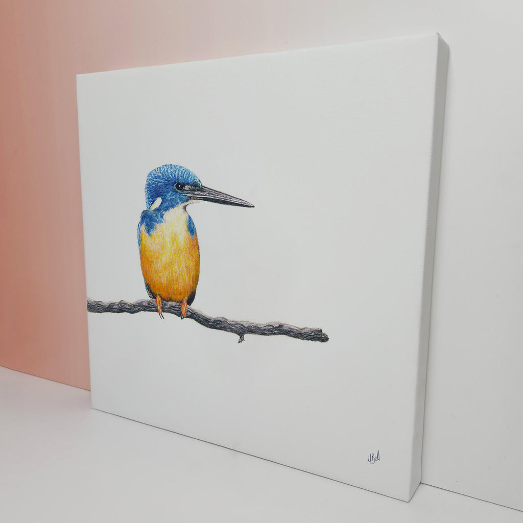 Half Collared Kingfisher bird artwork on stretched canvas
