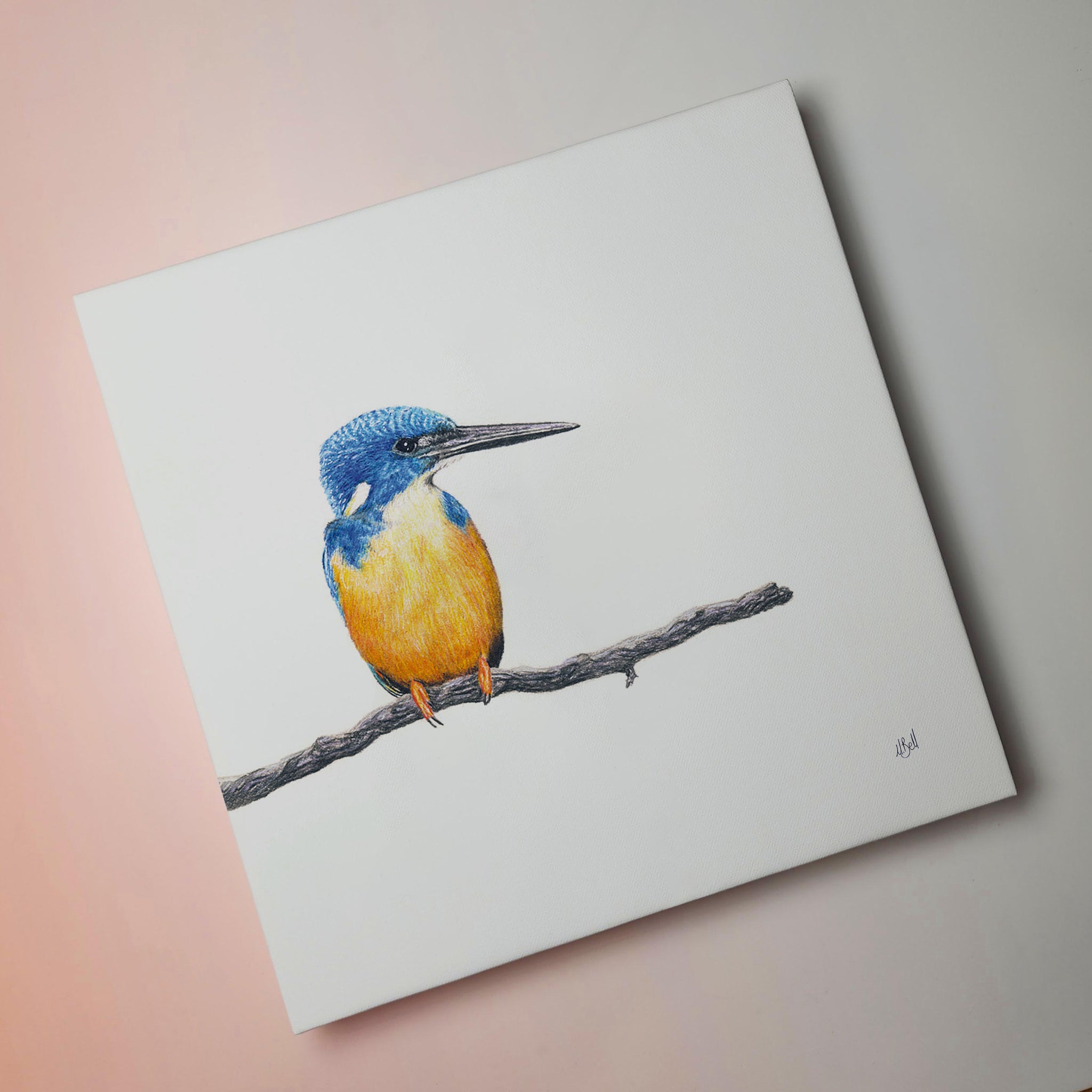 Half Collared Kingfisher bird artwork on stretched canvas