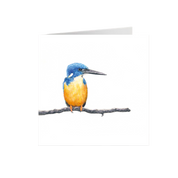 Half Collared Kingfisher Greeting Card - HCK