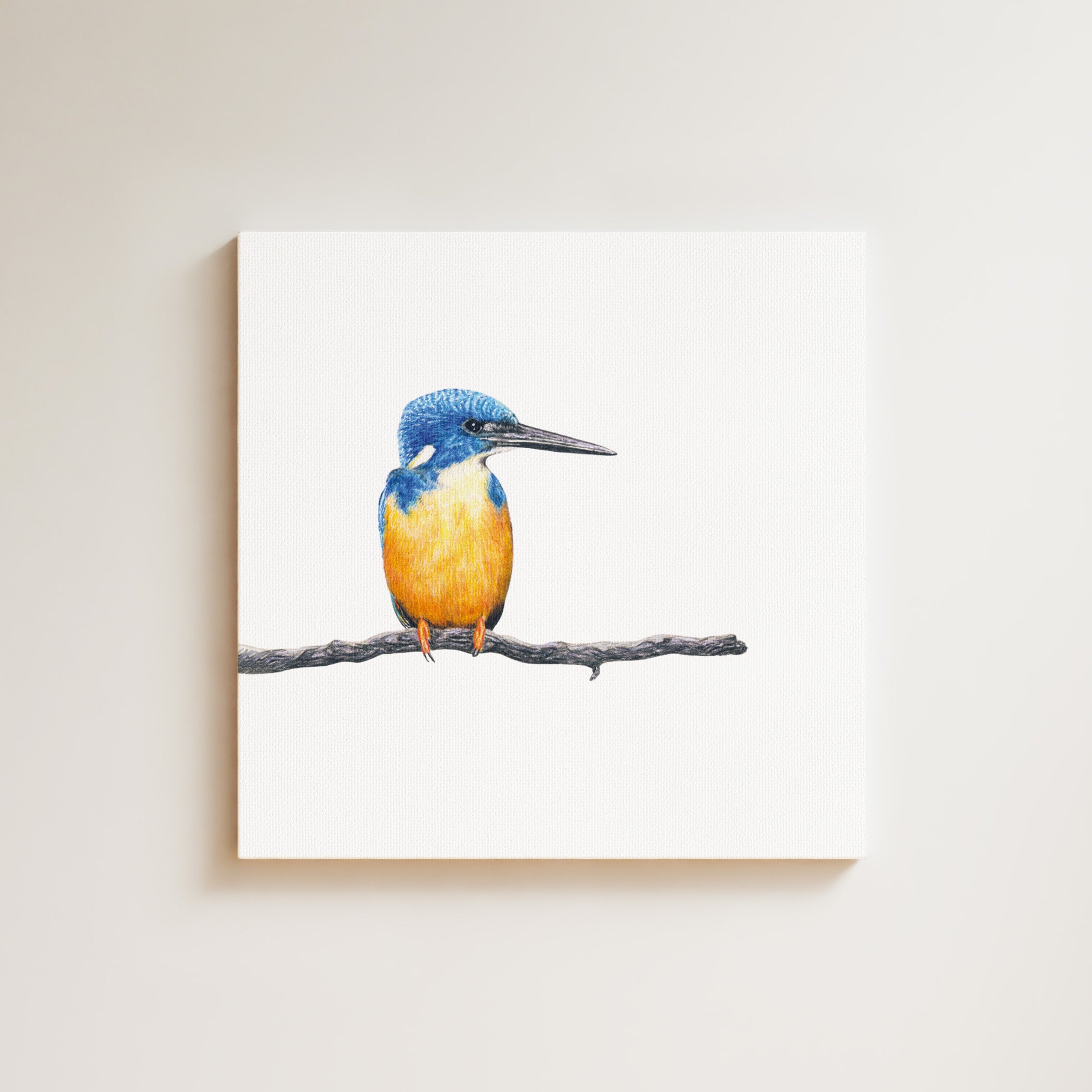 Half Collared Kingfisher drawing on canvas by South African wildlife artist Matthew Bell