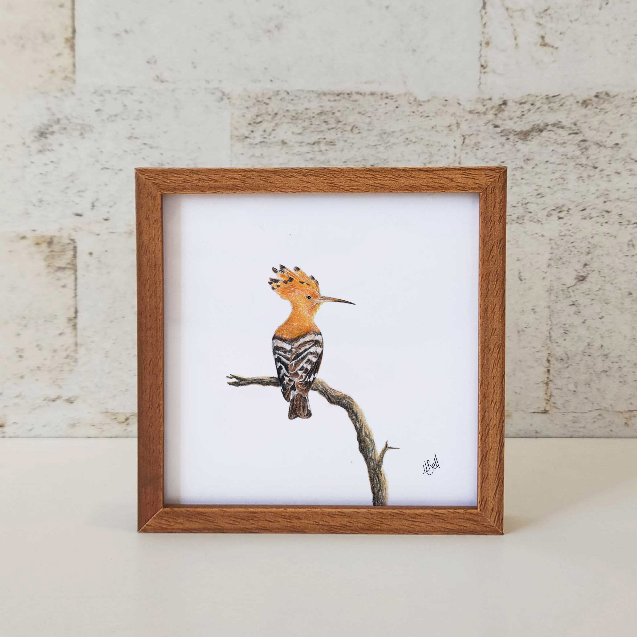 Kiaat wood framed miniature artwork of a African Hoopoe, part of wildlife artist Matthew Bell's birds of South Africa gallery