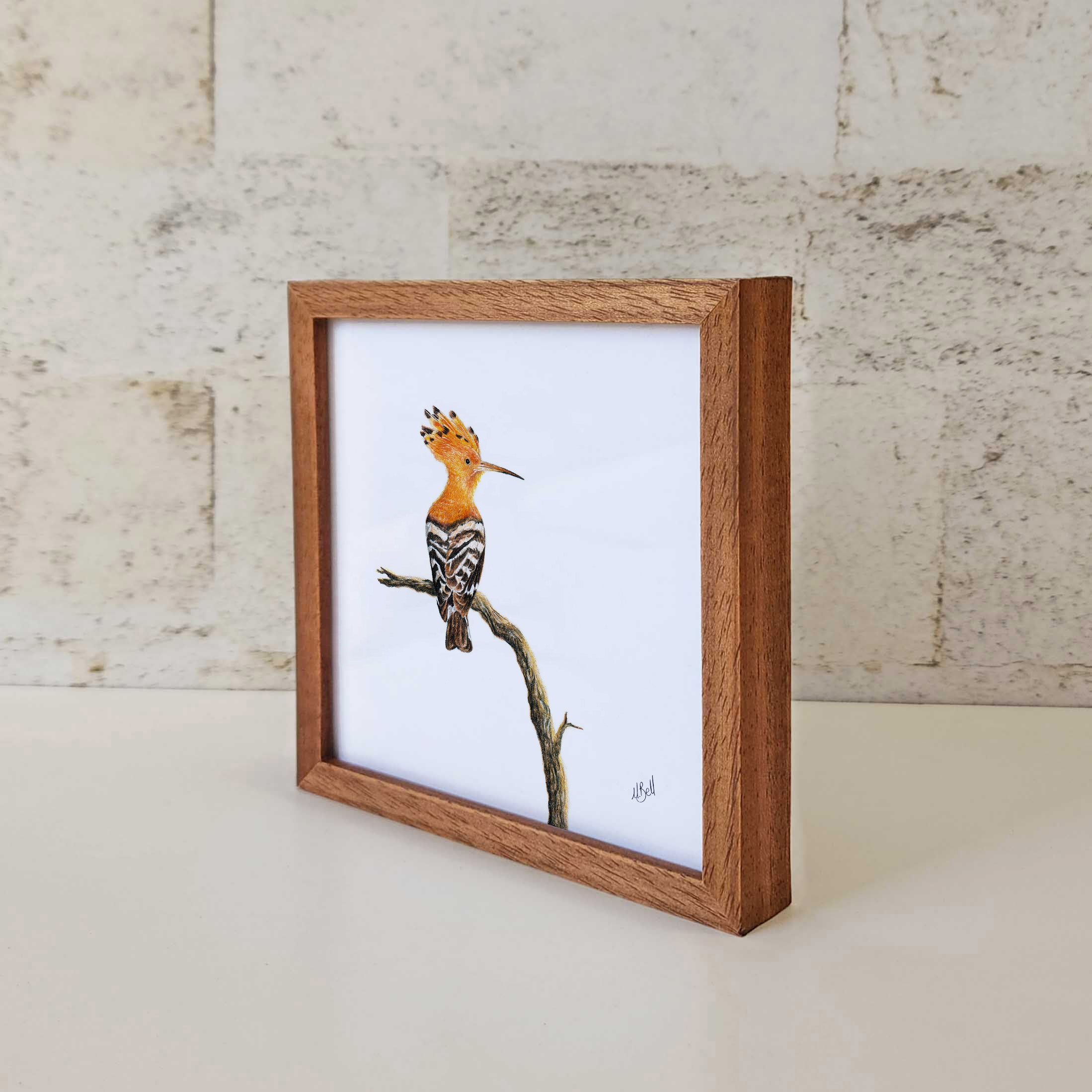 Kiaat wood framed miniature artwork of a African Hoopoe, part of wildlife artist Matthew Bell's birds of South Africa gallery