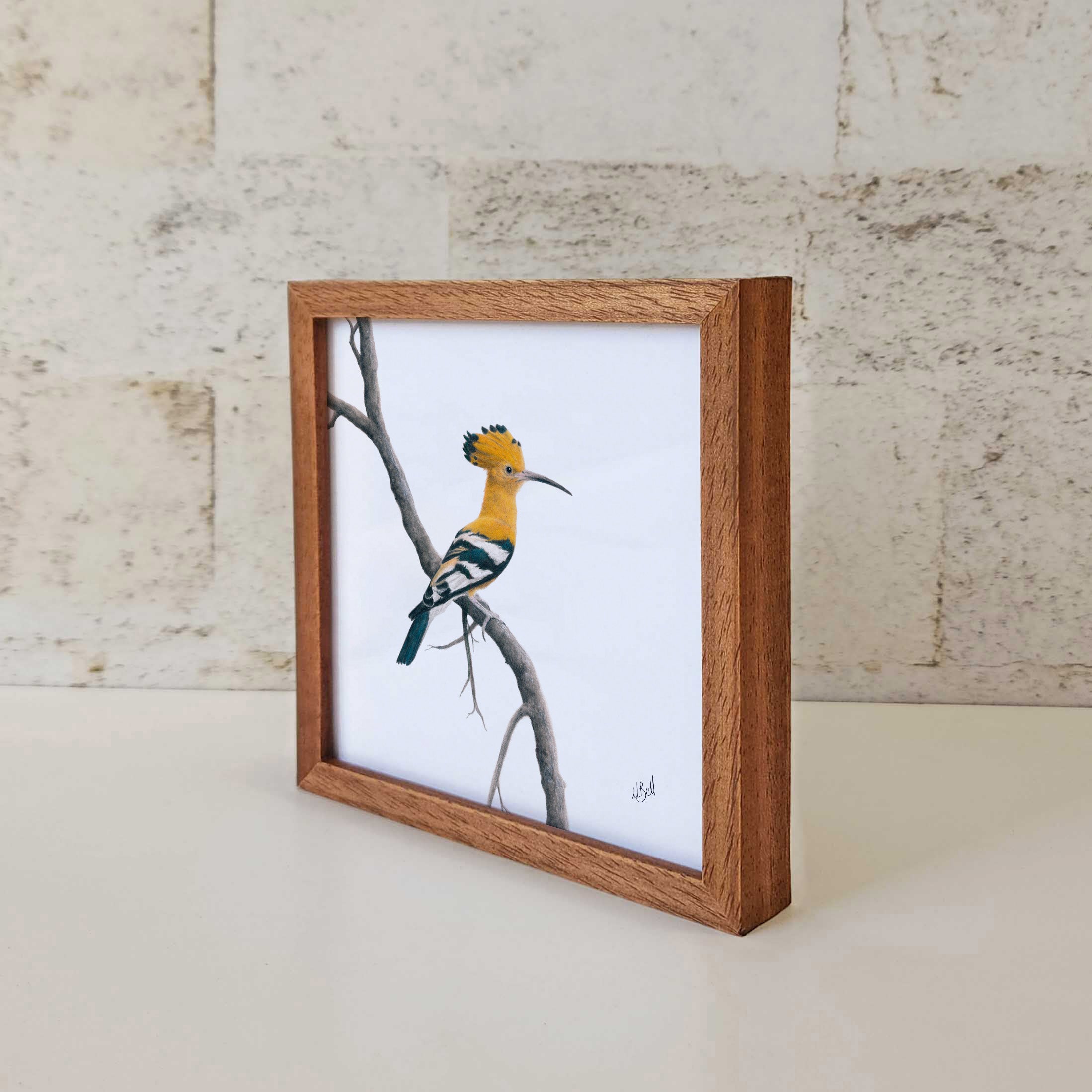 Kiaat wood framed miniature artwork of an African Hoopoe, part of wildlife artist Matthew Bell's birds of South Africa gallery