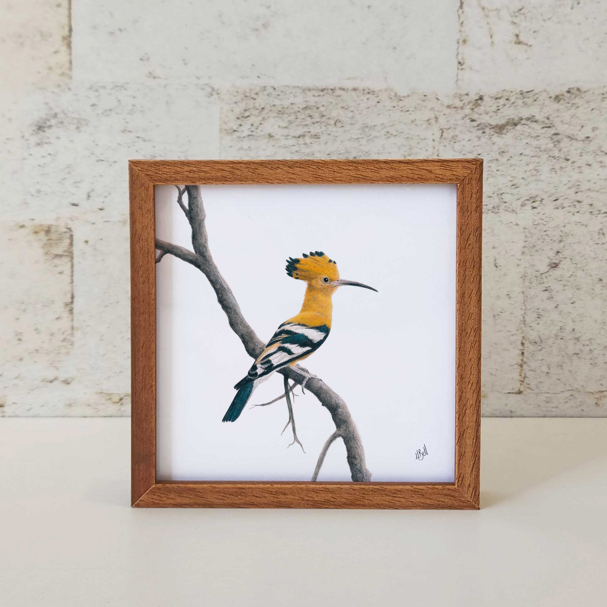 Kiaat wood framed miniature artwork of an African Hoopoe, part of wildlife artist Matthew Bell's birds of South Africa gallery