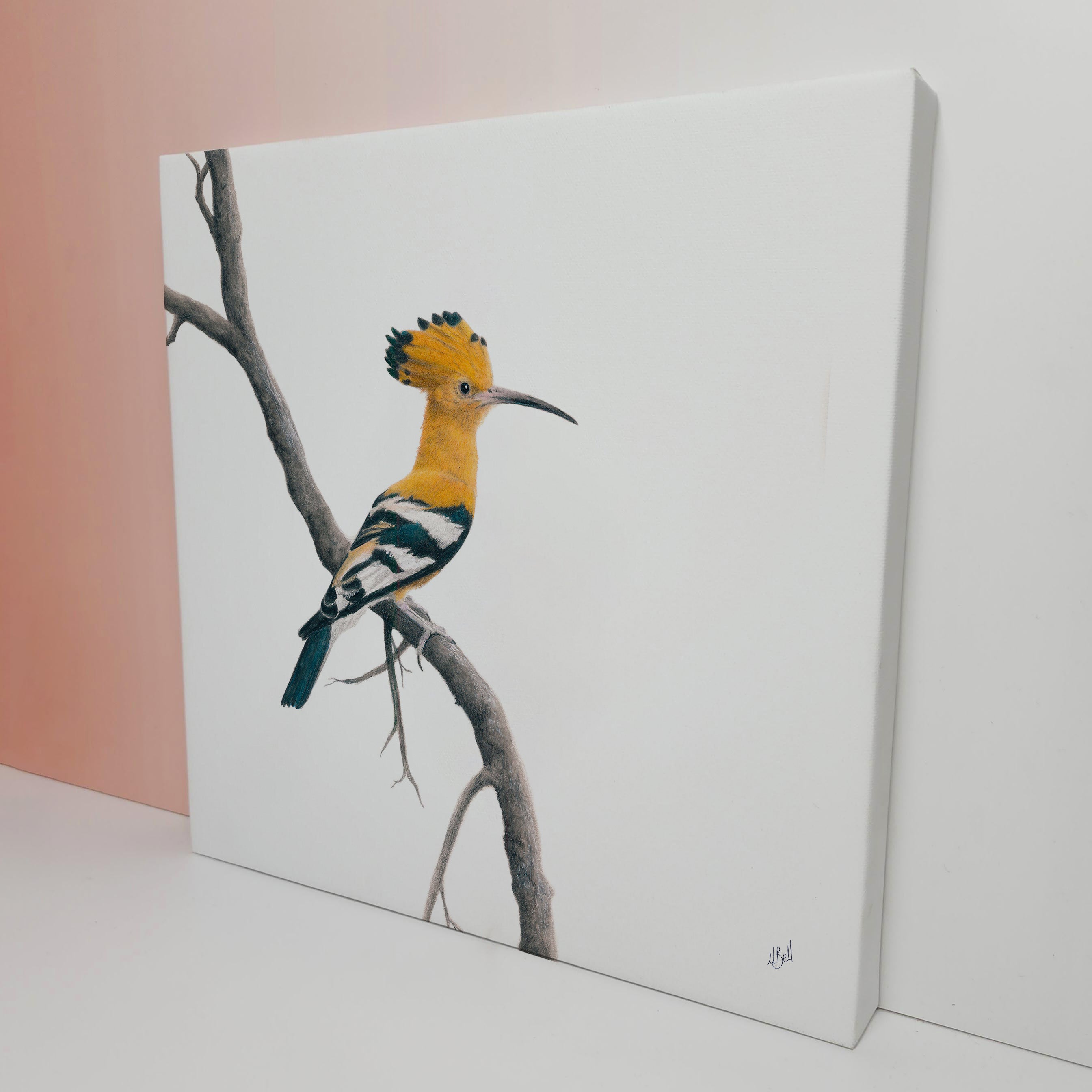 African Hoopoe bird artwork on stretched canvas