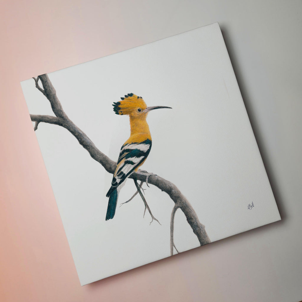 African Hoopoe bird artwork on stretched canvas