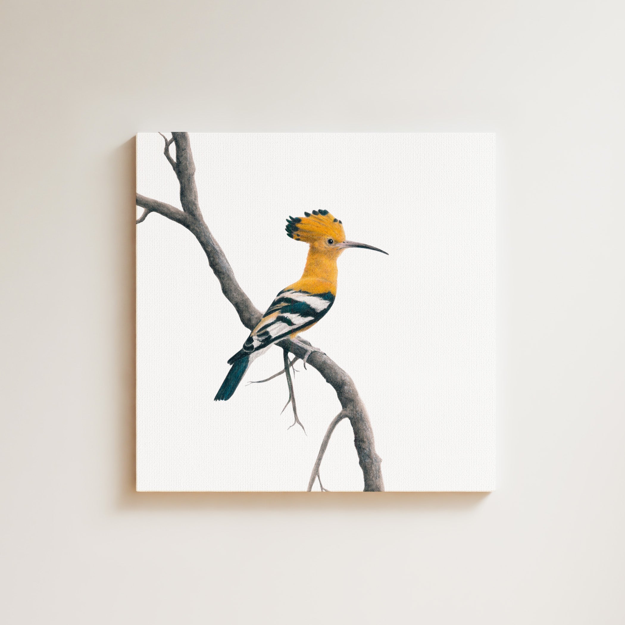African Hoopoe drawing on canvas by South African wildlife artist Matthew Bell