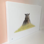 Hippo artwork on stretched canvas artwork print by South African wildlife artist Matthew Bell