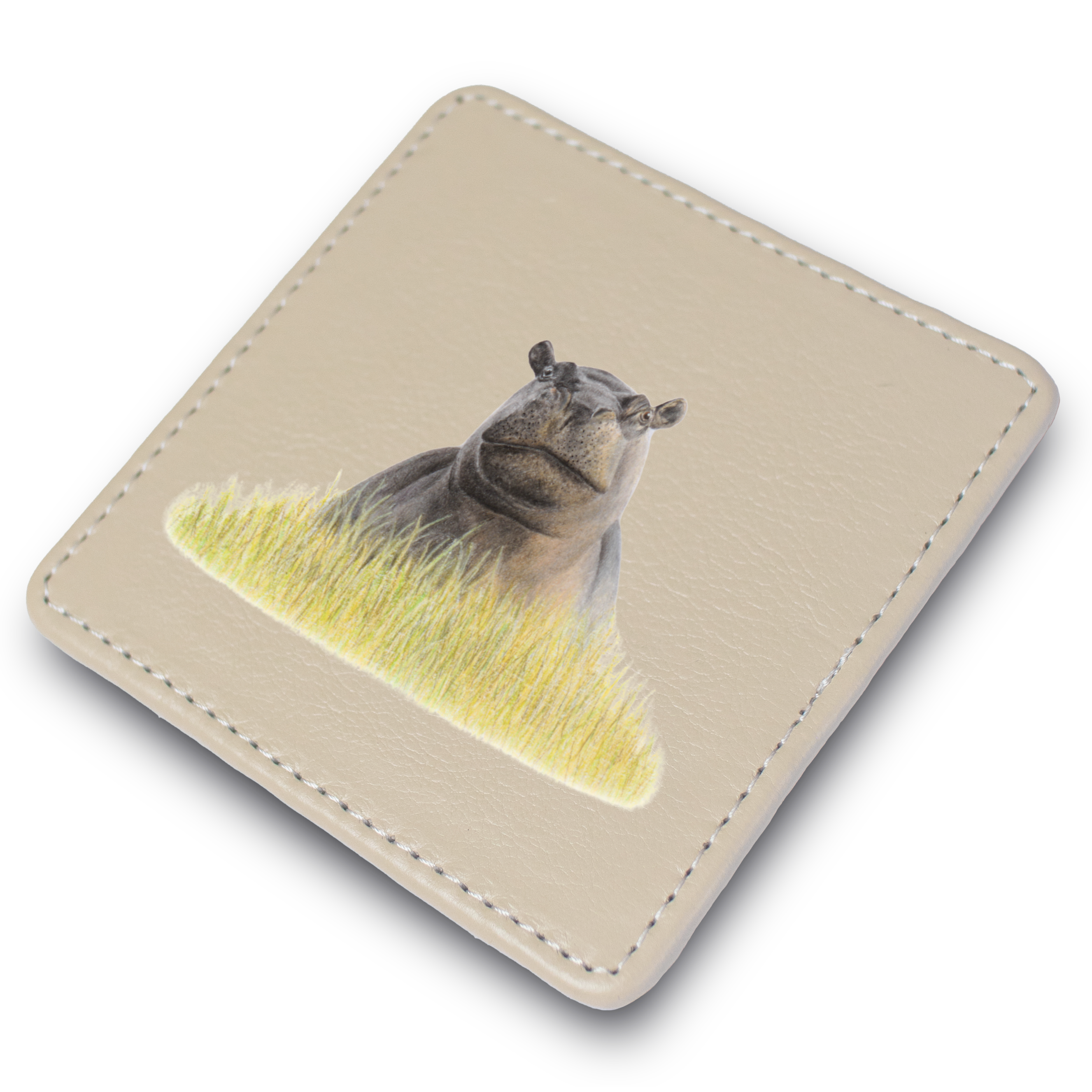 HPO_2.png