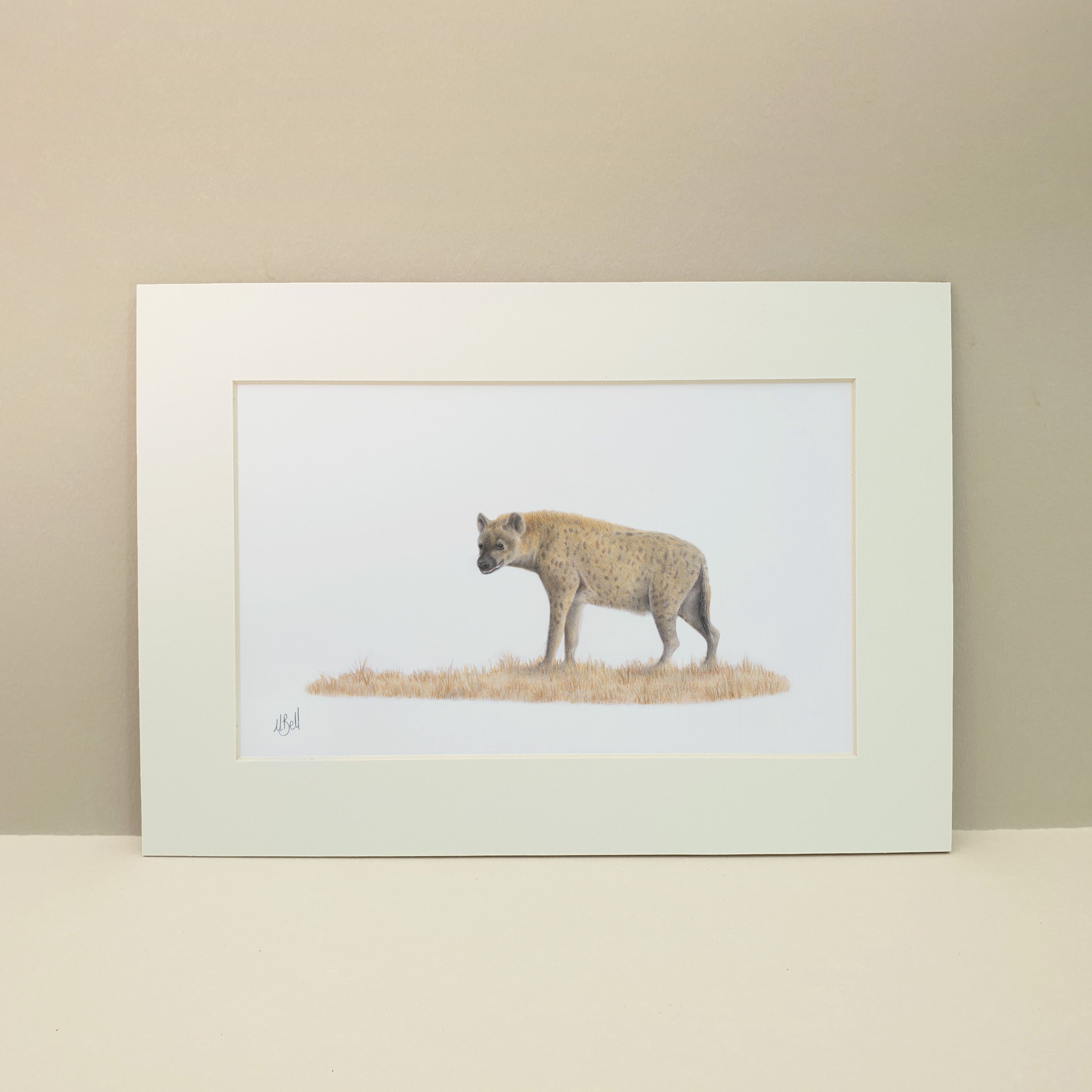 Spotted Hyaena in the Kruger National Park artwork