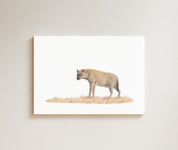 Spotted Hyena drawing on canvas by South African wildlife artist Matthew Bell