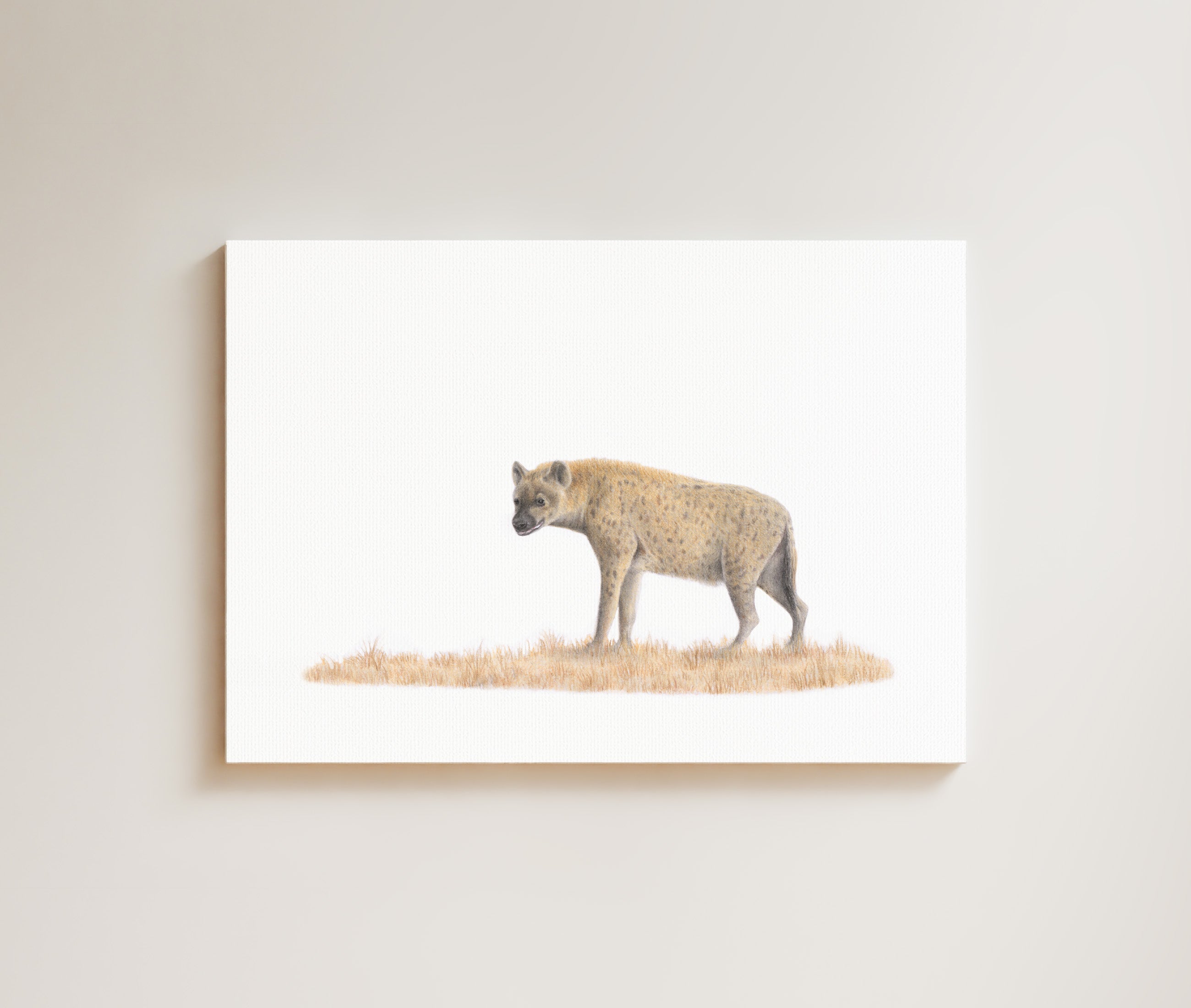 Spotted Hyena drawing on canvas by South African wildlife artist Matthew Bell
