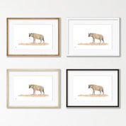 Spotted Hyena - HYN1