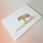 Spotted Hyena canvas wall art by Matthew Bell