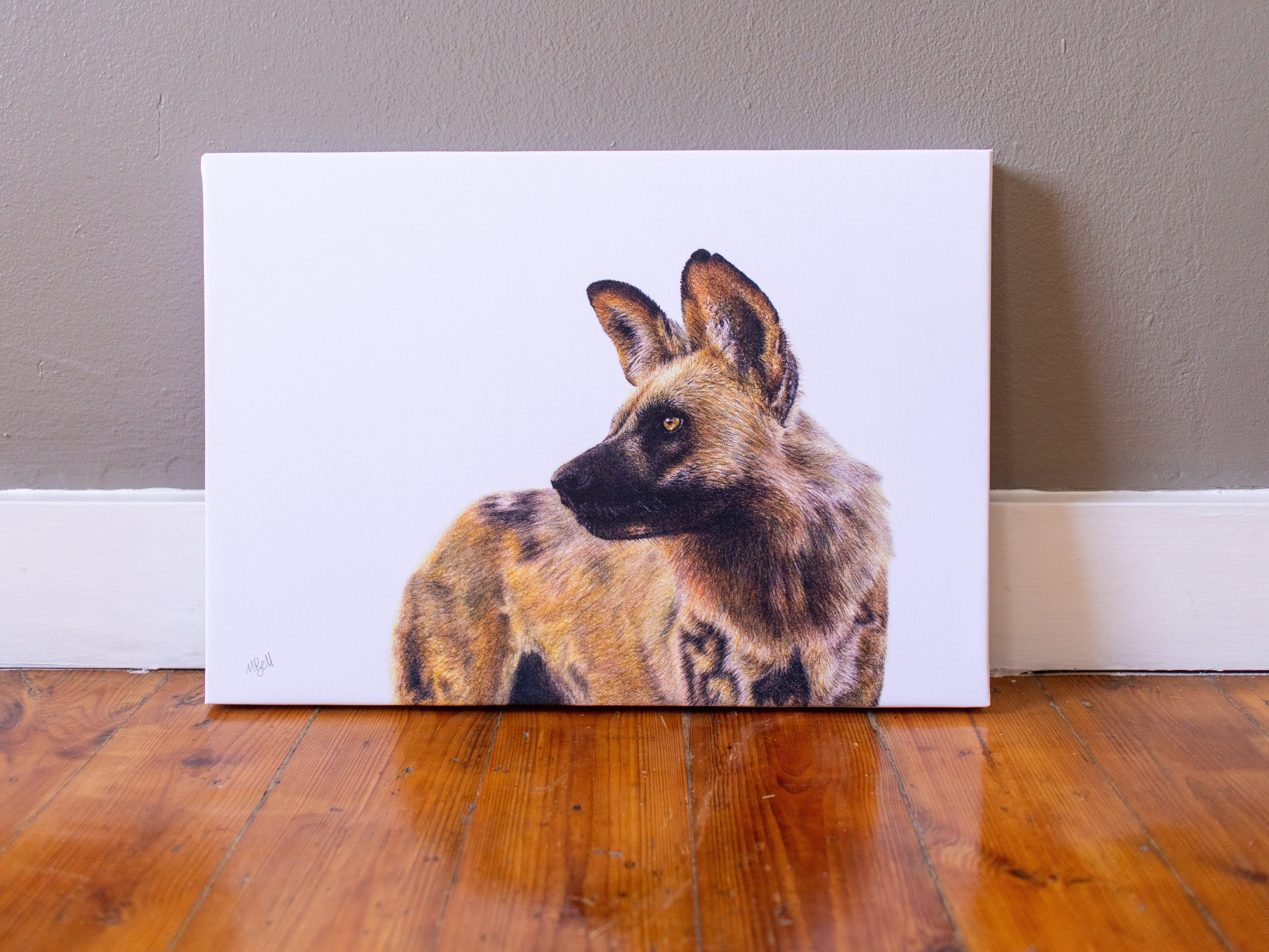 African Wild Dog on Canvas