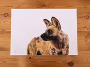 African Wild Dog on Canvas