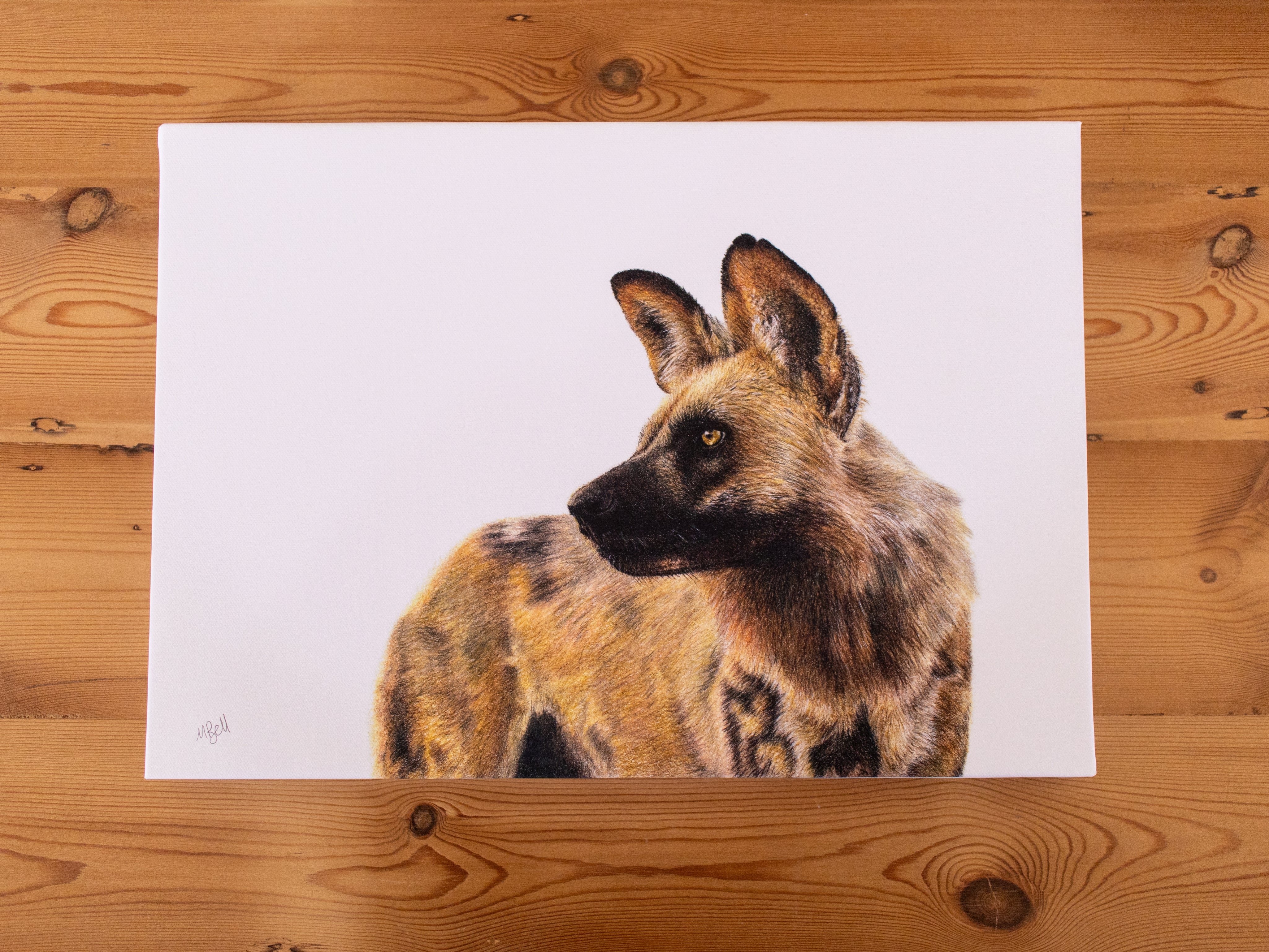 African Wild Dog on Canvas