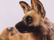 African Wild Dog on Canvas