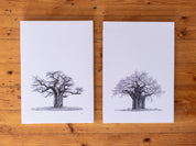 Set of 2 Baobab Trees on Canvas