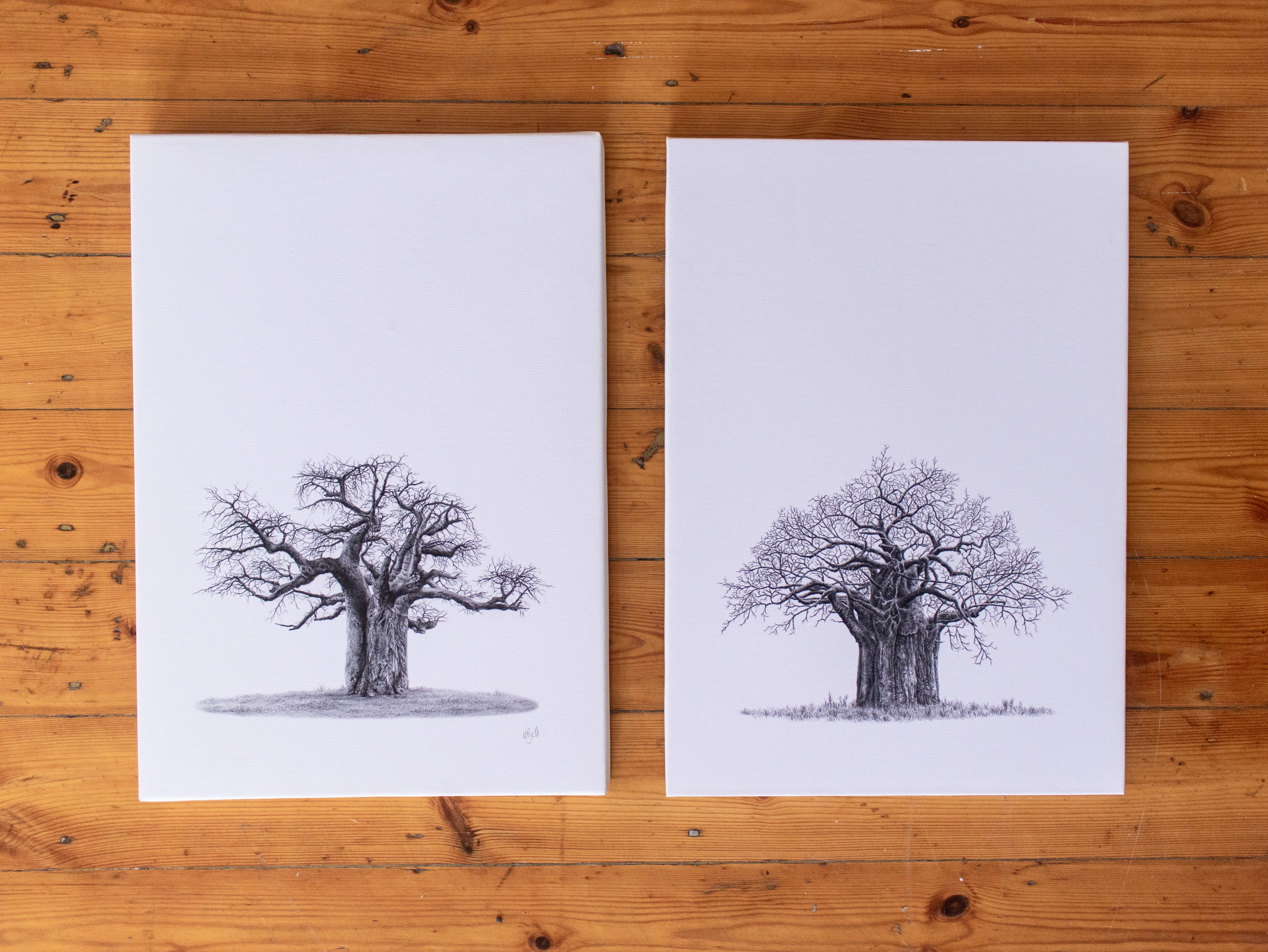 Set of 2 Baobab Trees on Canvas