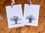 Set of 2 Baobab Trees on Canvas