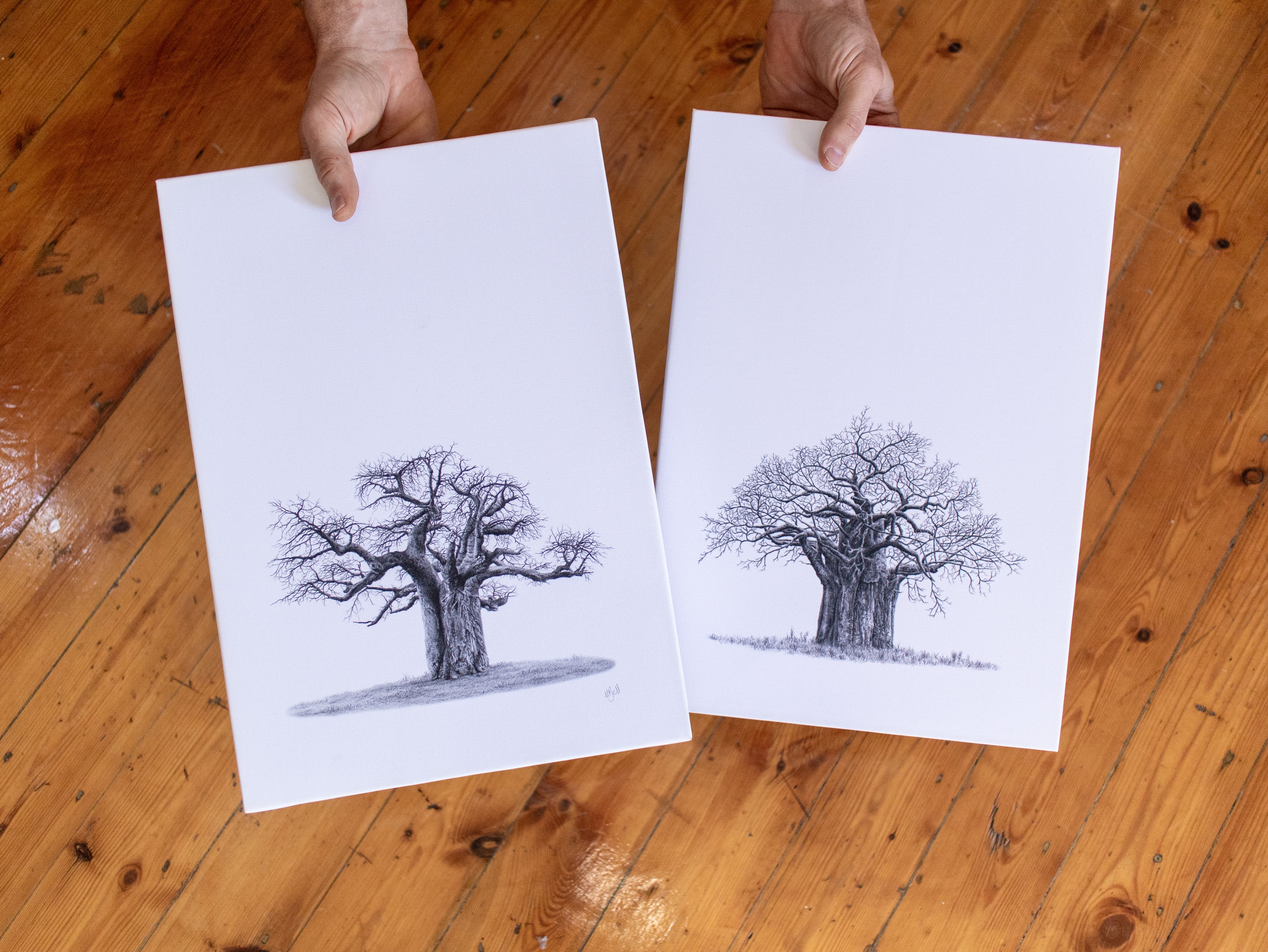 Set of 2 Baobab Trees on Canvas