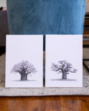 Set of 2 Baobab Trees on Canvas