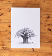 Baobab Tree on Canvas