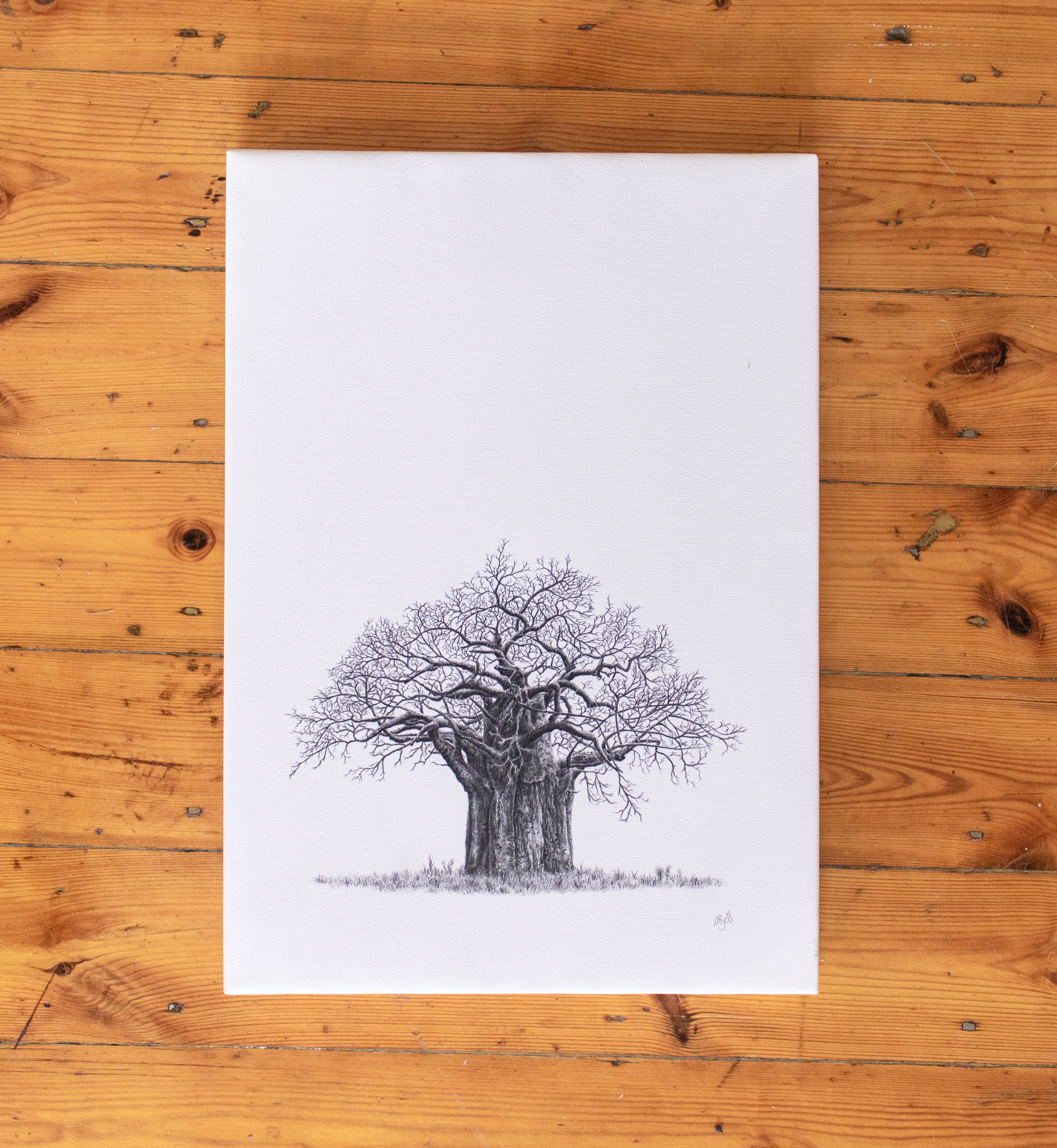 Baobab Tree on Canvas